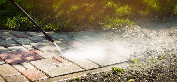 Animal Enclosure Cleaning in Wallenpaupack Lake Estates, PA